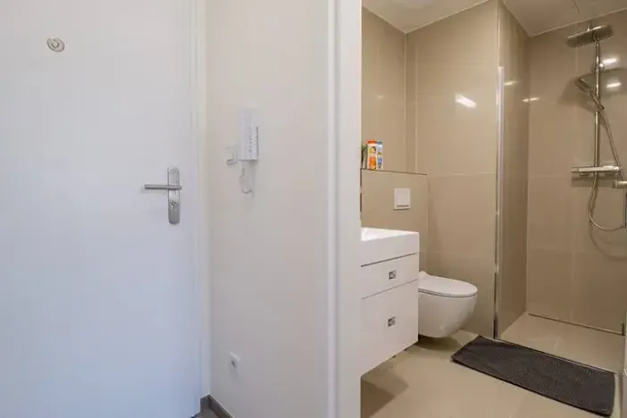 Pronájem bytu 2+kk, Praha - Vinohrady, Perucká, 45 m2