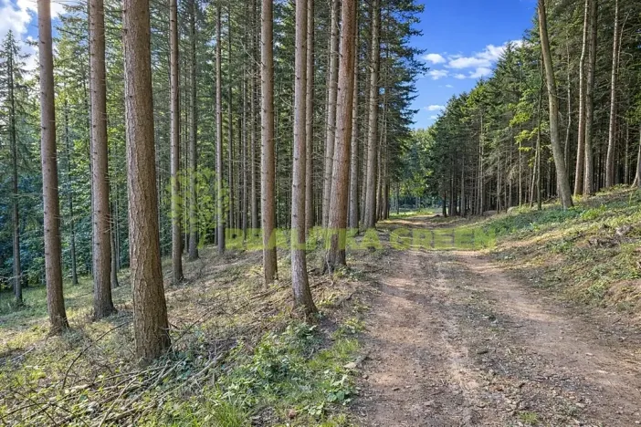 Prodej lesa, Zlín, Modřínová, 179312 m2