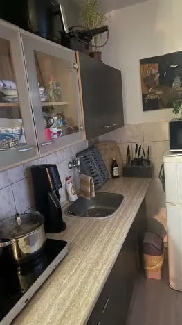 Prodej bytu 1+kk, Kladno, Mostecká, 28 m2