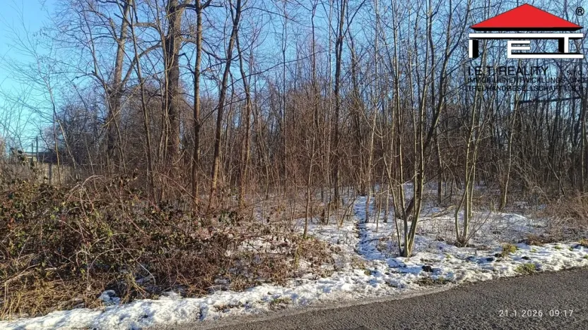 Prodej pozemku pro bydlení, Ostrava - Hrušov, 5802 m2