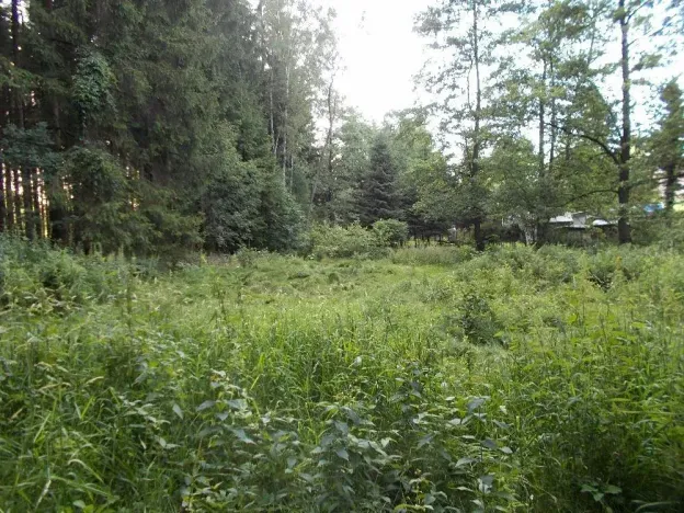 Prodej louky, Velký Šenov, 3266 m2