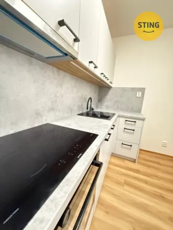 Pronájem bytu 2+1, Olomouc, Wolkerova, 54 m2