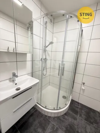 Pronájem bytu 2+1, Olomouc, Wolkerova, 54 m2