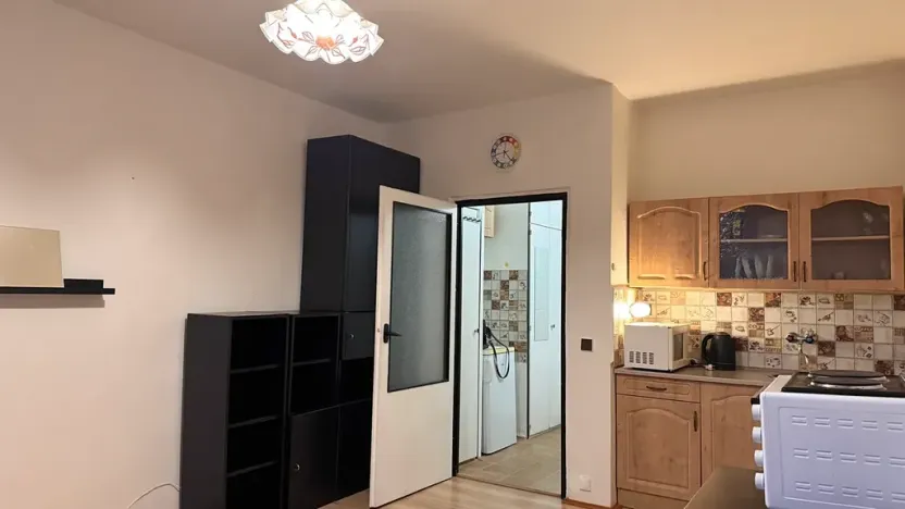 Pronájem bytu 1+kk, Brno, Halasovo náměstí, 26 m2