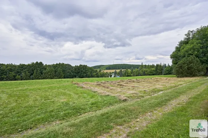 Prodej louky, Osek, 1013 m2