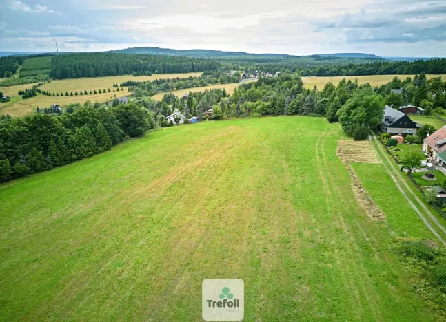 Prodej louky, Osek, 1013 m2