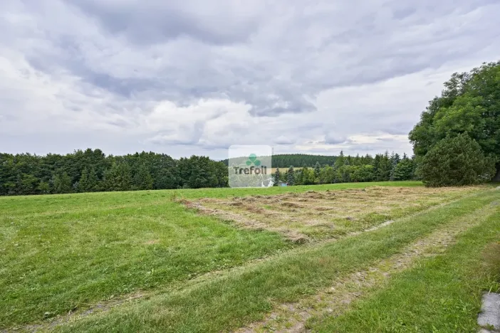 Prodej louky, Osek, 1013 m2