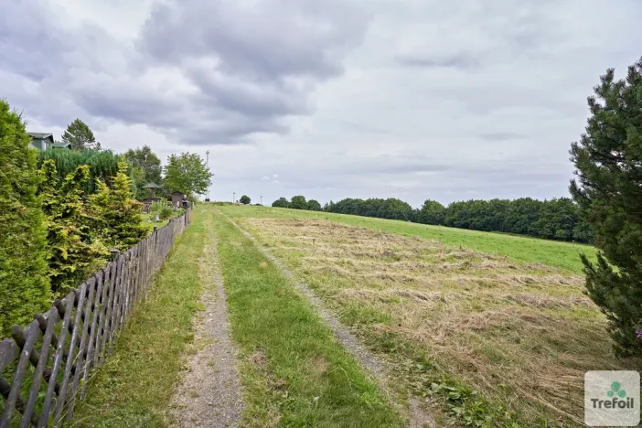 Prodej louky, Osek, 1012 m2