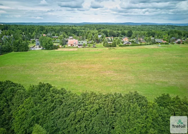 Prodej louky, Osek, 1012 m2