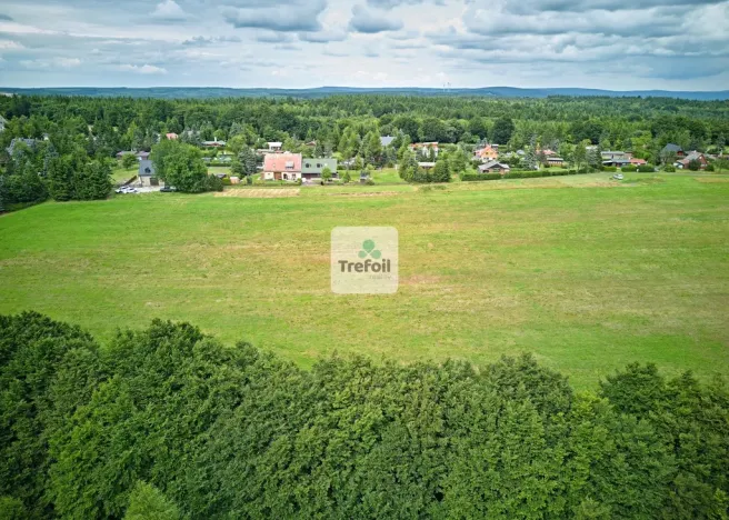 Prodej louky, Osek, 1012 m2