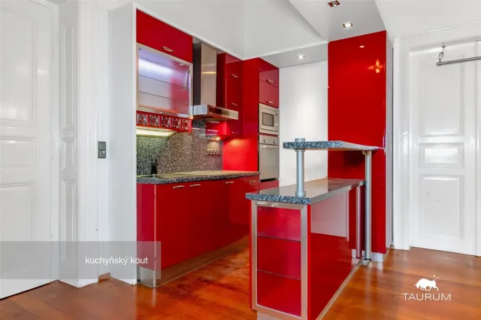 Pronájem bytu 3+kk, Plzeň - Jižní Předměstí, Havlíčkova, 98 m2