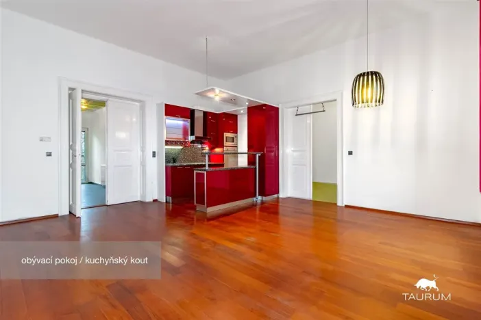 Pronájem bytu 3+kk, Plzeň - Jižní Předměstí, Havlíčkova, 98 m2