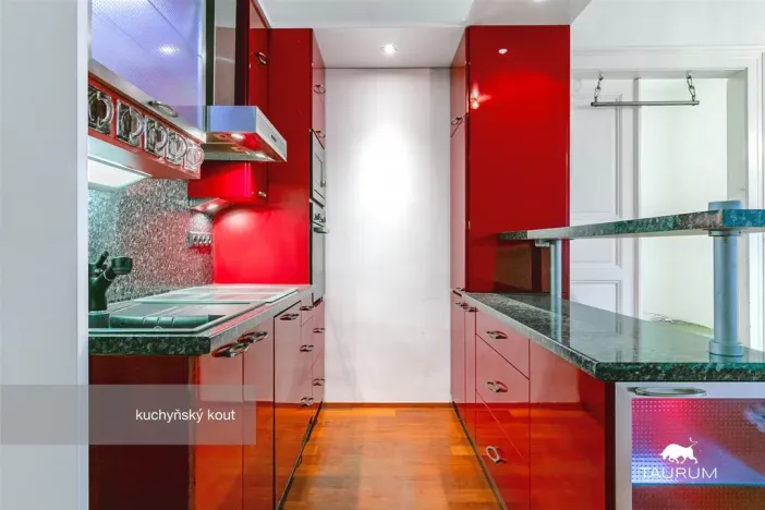 Pronájem bytu 3+kk, Plzeň - Jižní Předměstí, Havlíčkova, 98 m2