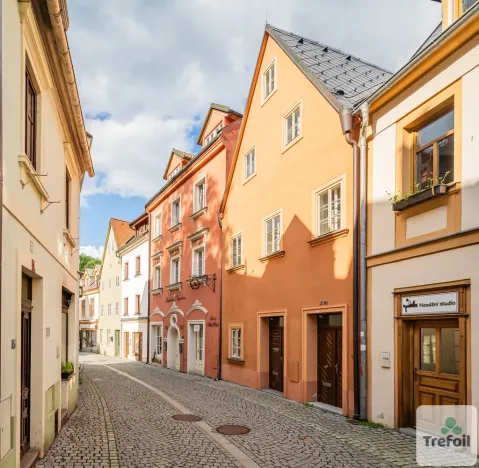 Prodej rodinného domu, Loket, T. G. Masaryka, 562 m2