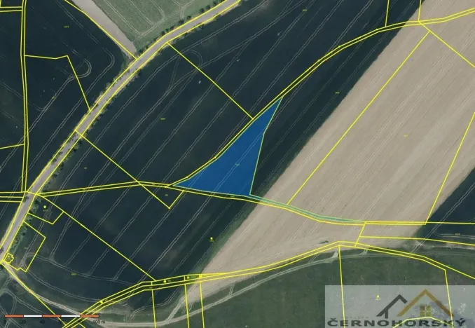 Prodej pole, Podsedice - Pnětluky, 32604 m2