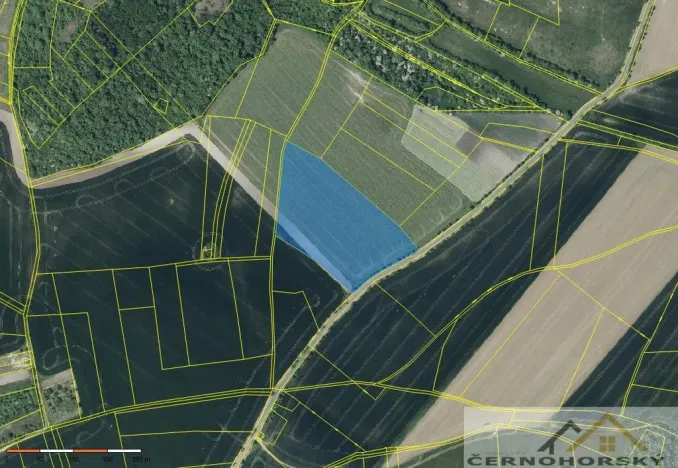 Prodej pole, Podsedice - Pnětluky, 32604 m2