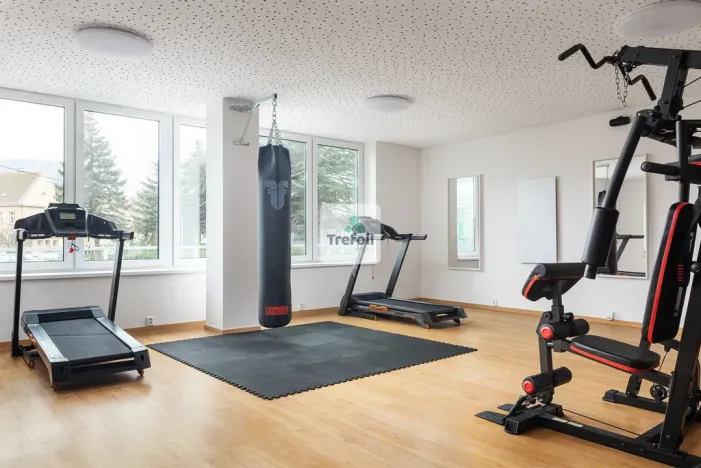 Prodej bytu 1+kk, Trmice, 20 m2