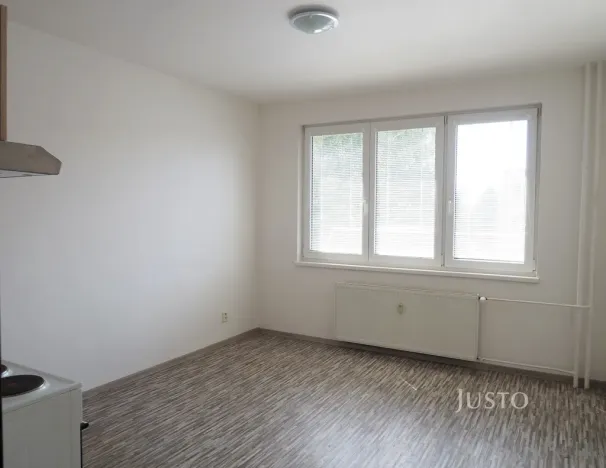 Pronájem bytu 1+kk, Písek - Budějovické Předměstí, Dr. M. Horákové, 20 m2