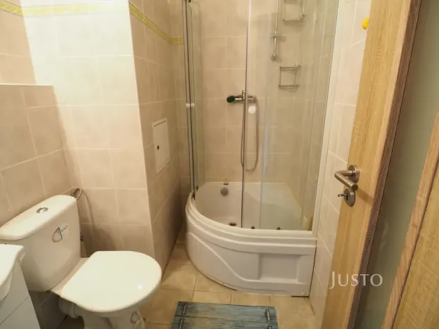 Pronájem bytu 1+kk, Písek - Budějovické Předměstí, Dr. M. Horákové, 20 m2