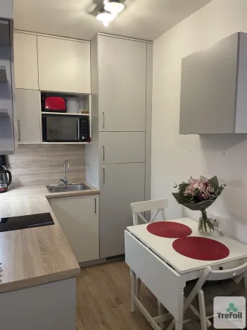 Pronájem bytu 1+kk, Přezletice, Pod Zahrady, 35 m2