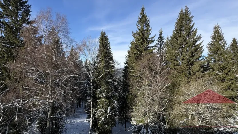 Prodej bytu 2+kk, Železná Ruda - Hojsova Stráž, 43 m2