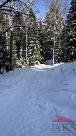 Prodej bytu 2+kk, Železná Ruda - Hojsova Stráž, 43 m2