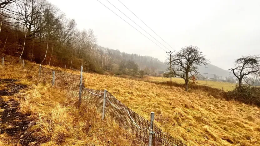 Prodej pozemku pro bydlení, Dobkovice, 2106 m2