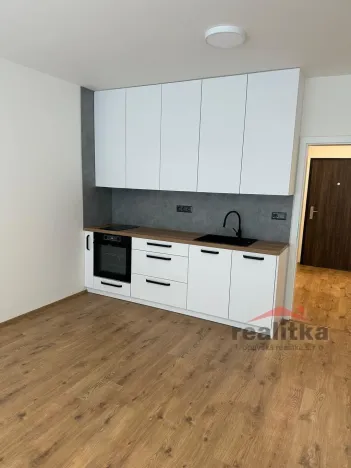 Pronájem bytu 1+kk, Opava, 42 m2