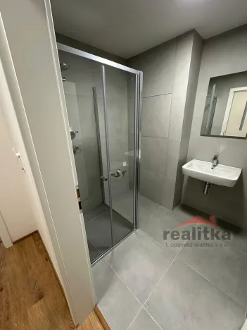 Pronájem bytu 1+kk, Opava, 42 m2