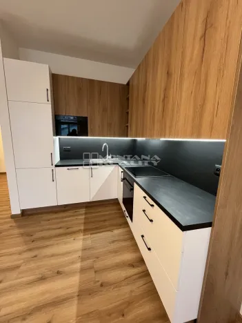 Pronájem bytu 3+kk, Olomouc, Riegrova, 74 m2