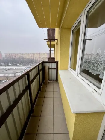 Pronájem bytu 1+1, Ostrava - Hrabůvka, Kašparova, 42 m2