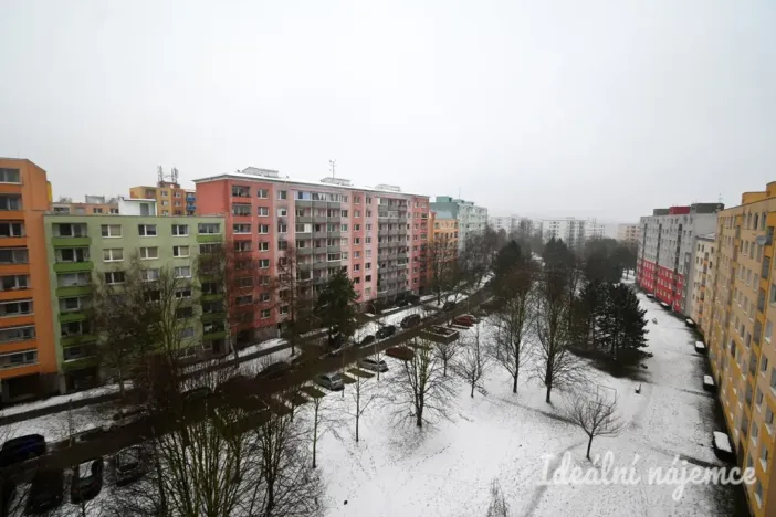 Pronájem bytu 2+1, Brno, Kubíčkova, 55 m2