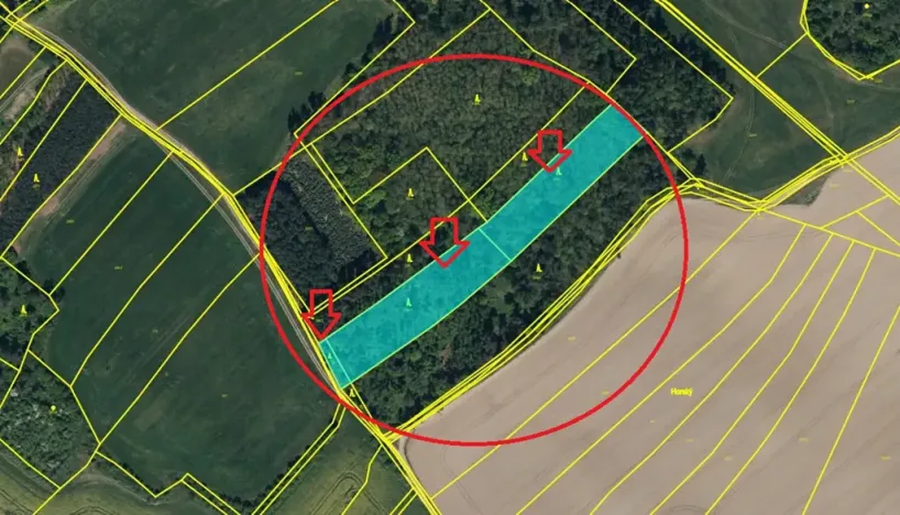 Prodej lesa, Týnec nad Labem, 7079 m2