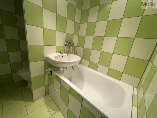 Pronájem bytu 1+kk, Most, U Věžových domů, 22 m2