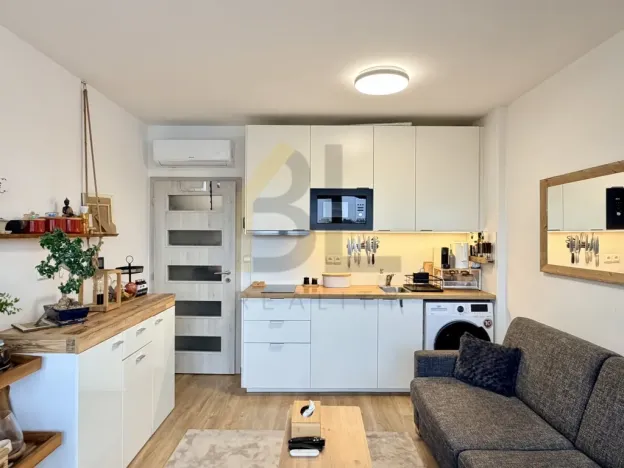 Pronájem bytu 1+kk, Břeclav, Břetislavova, 21 m2