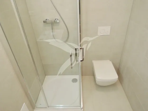 Pronájem bytu 2+kk, Plzeň, Mánesova, 44 m2