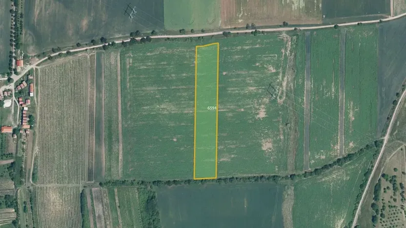 Prodej pole, Milotice, 7763 m2