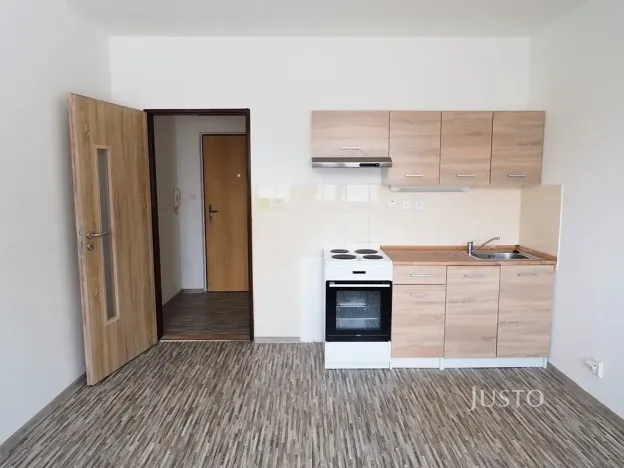Pronájem bytu 1+kk, Písek, Dr. M. Horákové, 20 m2