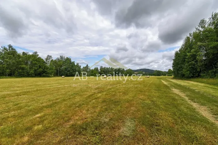 Prodej louky, Úštěk, 131865 m2