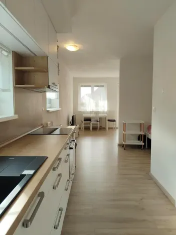 Pronájem bytu 1+kk, Plzeň, Klatovská třída, 47 m2