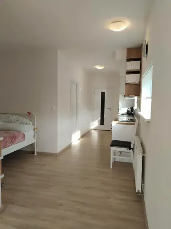 Pronájem bytu 1+kk, Plzeň, Klatovská třída, 47 m2