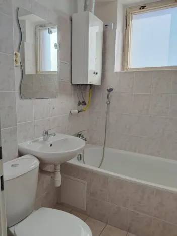 Pronájem bytu 1+1, Plzeň, Ořechová, 36 m2