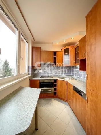 Pronájem bytu 2+1, Ostrava, Výškovická, 56 m2