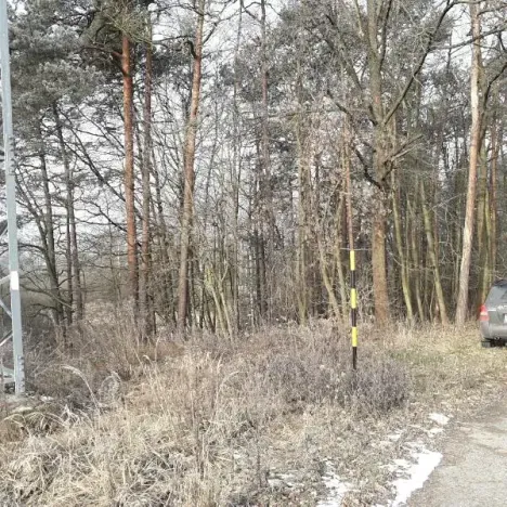 Prodej lesa, Řípec, 27546 m2