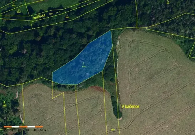 Prodej lesa, Boskovštejn, 2506 m2