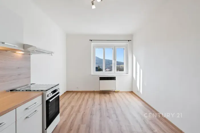 Pronájem bytu 1+1, Děčín, Riegrova, 37 m2