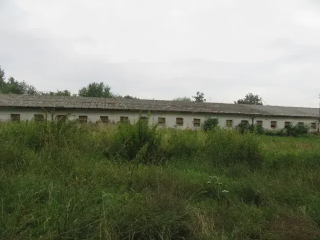 Dražba pozemku, Zhoř, 2409 m2