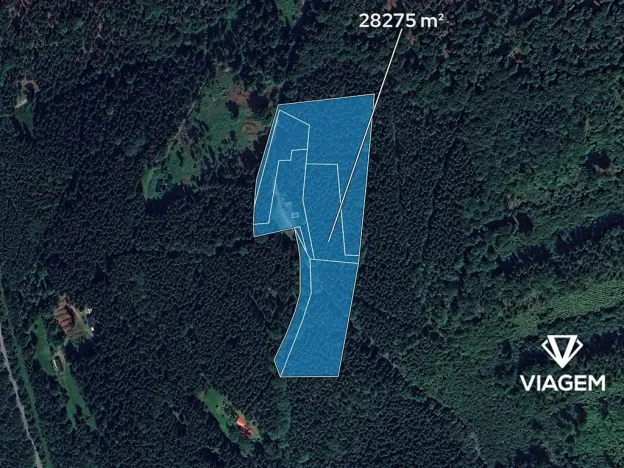 Prodej podílu lesa, Morávka, 4 m2
