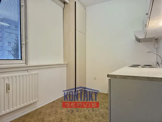 Pronájem bytu 1+1, České Budějovice, Netolická, 33 m2