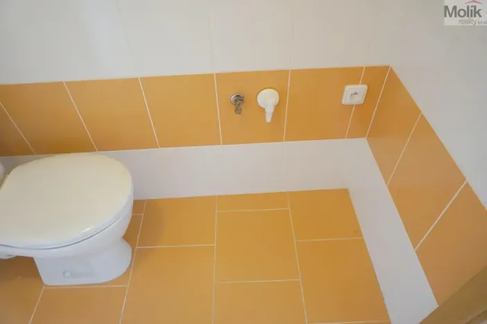 Prodej bytu 1+kk, Litvínov - Horní Litvínov, Podkrušnohorská, 33 m2